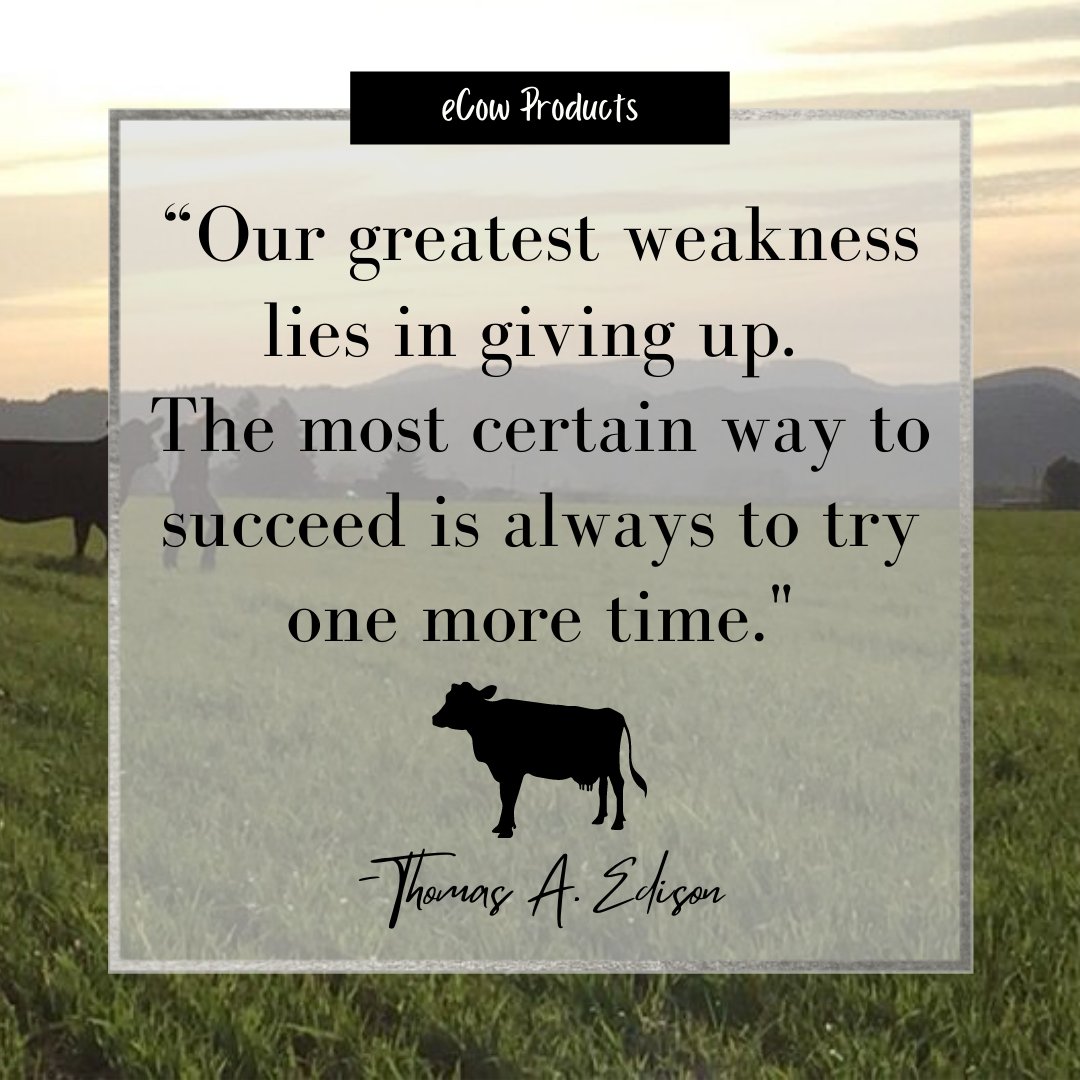 eanimalproducts's tweet photo. For over 50 years we've never given up in order to naturally provide immune support for animals. That’s how we found what works best for you and animals all over the globe. 
. 
Put your trust in us, for success comes from not giving up!
.
.
#smallbusiness #cows #livestock https://t.co/Uy6foiDD1X