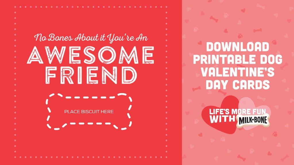 Show your pup they have a special place in your heart with these cards that have a special place for Milk-Bone Mini’s Valentine’s Day Biscuits. #MilkBoneLIfe

Click here to download this card and more: spr.ly/6011Her5P
