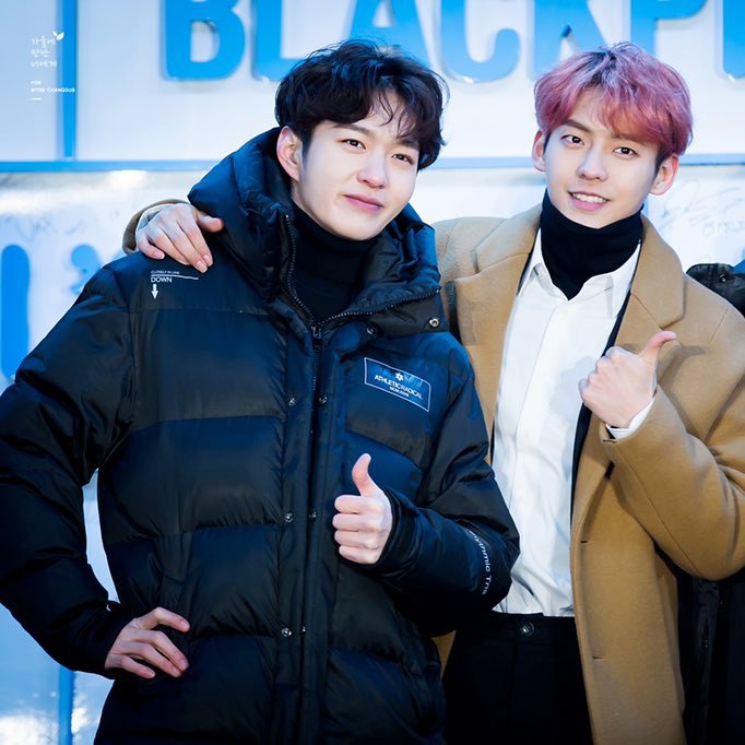 A thread of BTOB MinSub a.k.a Minhyuk and Changsub - the "the rarest get caught out yet they're actually drinking friends" bromance.