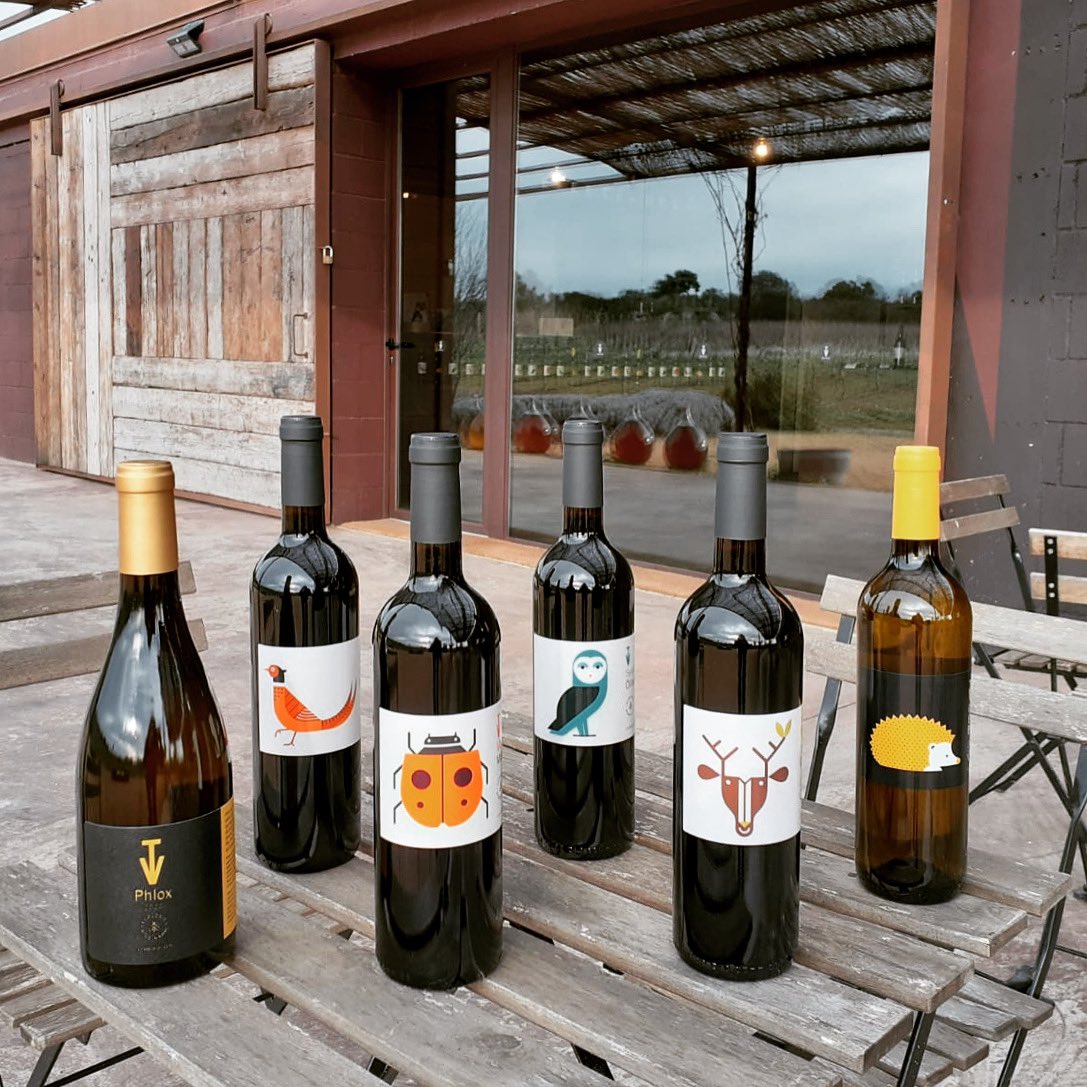 Teniu ganes de tastar la nova anyada 2020? 

Us oferim un lot de 6 vins, amb la col·lecció monovarietals i el Phlox '20! ✨ Acada un d'ells hi podreu apreciar una varietat diferent, representativa dins el paisatge i la natura de Vins de Taller.

#VinsdeTaller #CellerVerd #Empordà