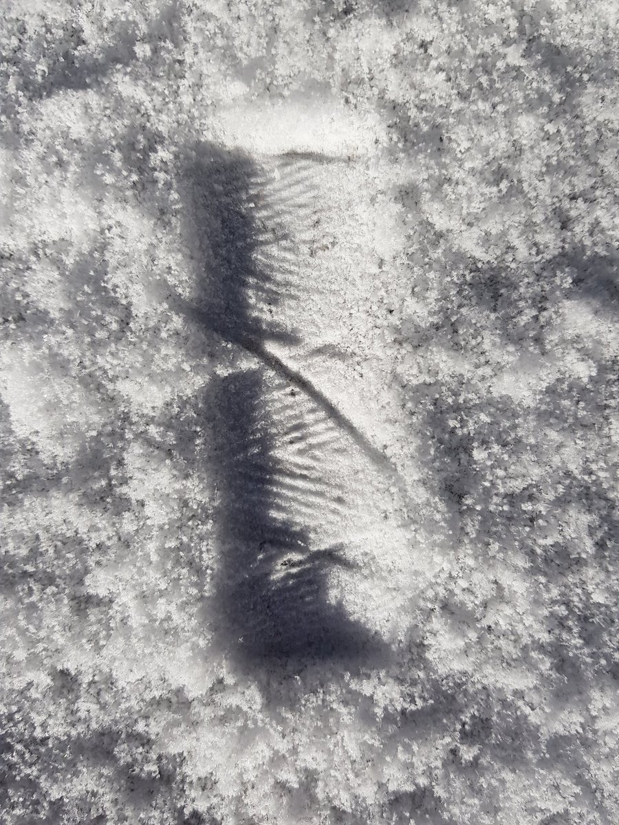 WovenByHand's tweet photo. Happy Accidents!
When your twine falls on the floor
And your working outside in the snow ......
#happyaccidents #gotdistracted #happyaccident #playinginthesnow #twine #yarn #pattern #experimenting #snow #winter https://t.co/1LJBU4ETSp