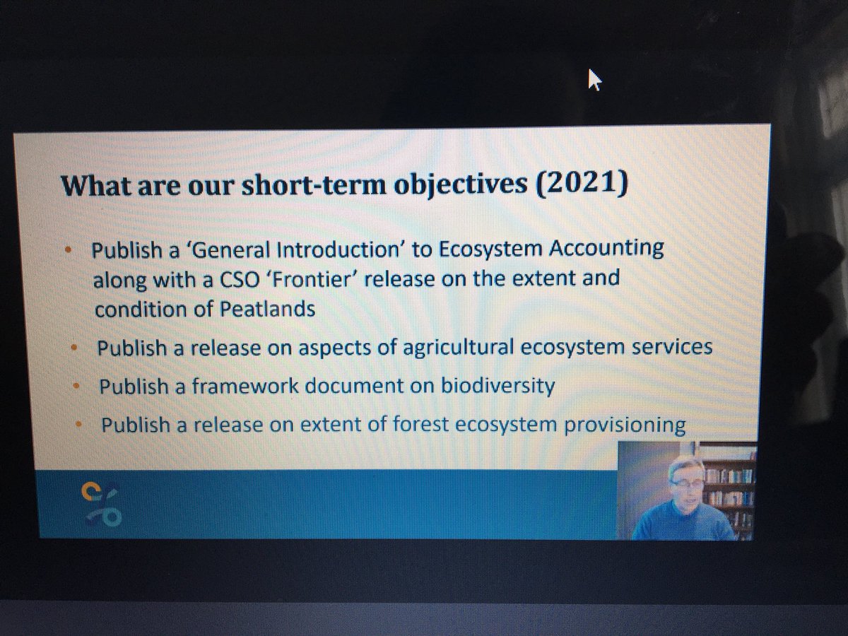 IncaseProject's tweet image. What have @CSOIreland planned for 2021 in relation to #ecosystem accounting? @TomHealyDublin addresses #INCASEproject stakeholders