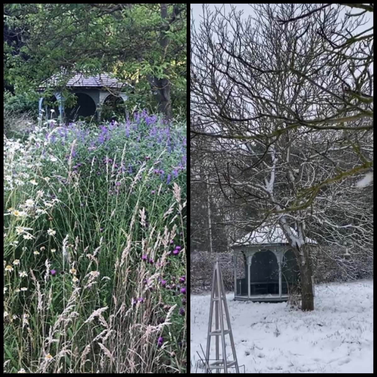 ChelseaShouses's tweet photo. Summer v Winter 💐❄️
Sunbury Gazebo looking magical in all seasons 🌸🌿🌼 https://t.co/Zh5oQCQ22P