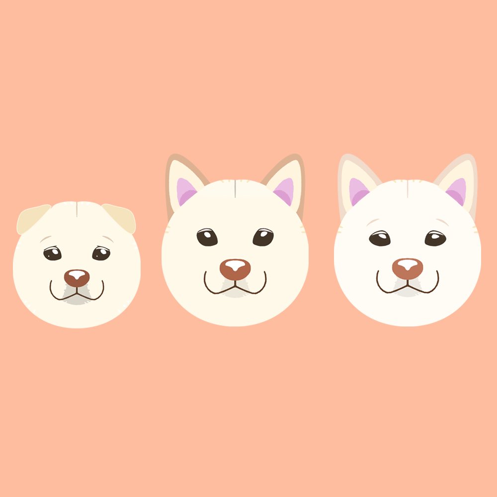 柴三堂 柴犬絵描き人 白柴ちゃんバージョン イラスト 柴犬イラスト T Co Rljhz3iluj Twitter