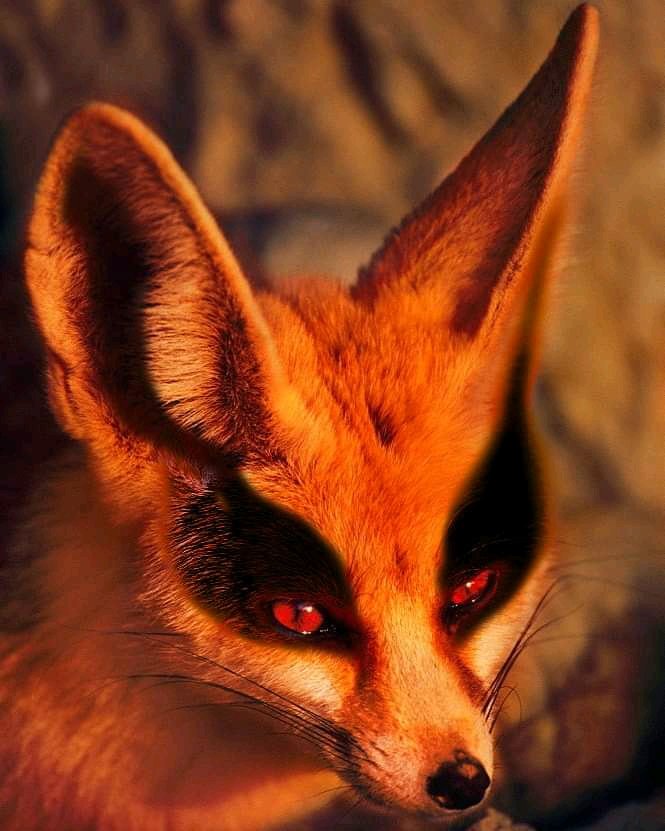 MTabelima's tweet image. Kurama