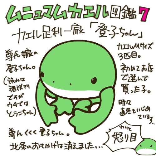 周回遅れな話題もう一つするけど、見て描くといえば私なんぞムニュマムのカエルすら見て描いてるから安心して欲しい 