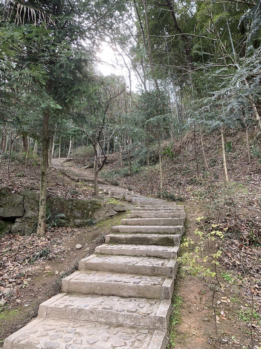 上海爷叔on Twitter 一大早和女儿驱车去了天马山 说句实话大上海呆了四十余年还是第一次去天马山 天马山 海拔99 8m 上海自然海拔最高 当然最出名的还是倾斜7度59分的护珠塔了 天马山虽不及佘山那么出名 但她一定比他更秀丽 上海爷叔on Twitter 一大早和女儿驱车去了天马山 说句实话大上海呆了四十余年还是第一次去天马山 天马山 海拔99 8m 上海自然海拔最高 当然最出名的还是倾斜7度59分的护珠塔了 天马山虽不及佘山那么出名 但她一定比他更秀丽