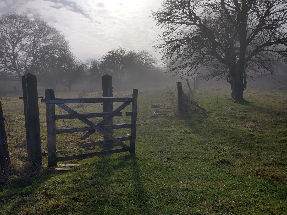 Emma James tweet media