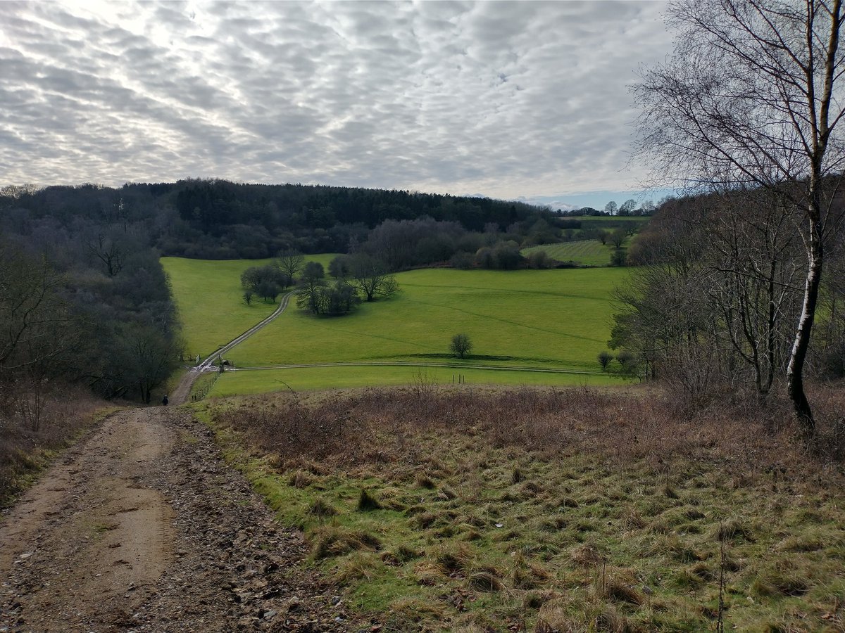 Emma James tweet media