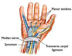 drjohnohearn's tweet image. Think you may have carpal tunnel in one or both wrists? Here are some exercises that will help the symptoms until you can really take care of it. #simplesurgery #betterin3days #handtingling
medicalnewstoday.com/articles/hand-…