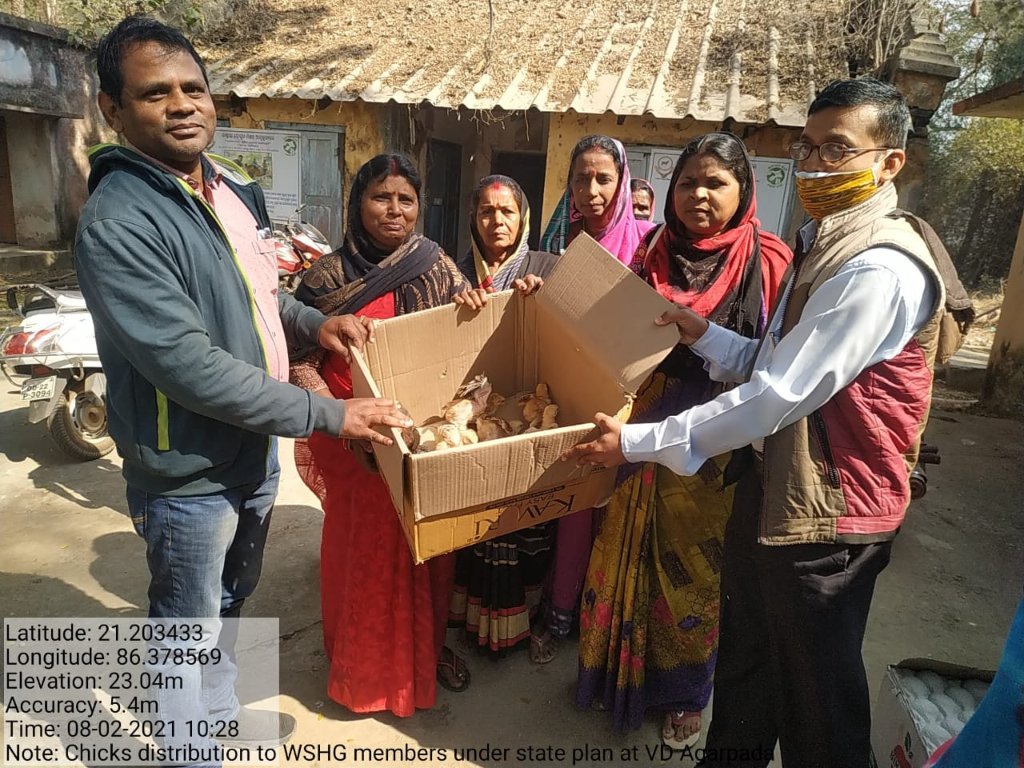 BonthIcds's tweet photo. #distribution_of_chicks 
Distribution of 28 day old chicks to WSHG group members of Bonth block in collaboration  with BPC,MS and ARD Bhadrak.
@DM_Bhadrak @BhadrakDswo @DPMU_MS_Bhadrak https://t.co/KTI1M5QAcK