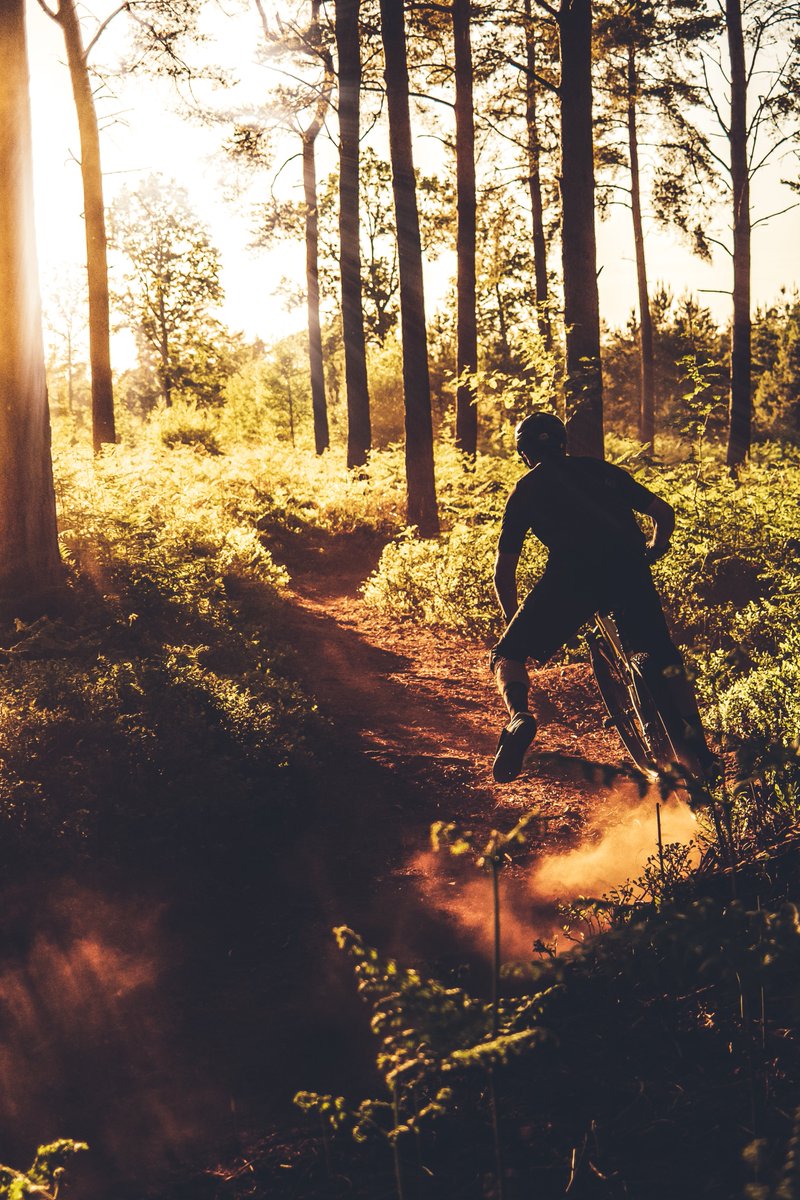 PolarityPhoto's tweet image. Oops... took some time away from twitter and the account got de-activated! 😬 Starting fresh here, follow for MotoGP photos and lots of average mountain biking #MotoGP #Accidentlylostallfollowers #MTB