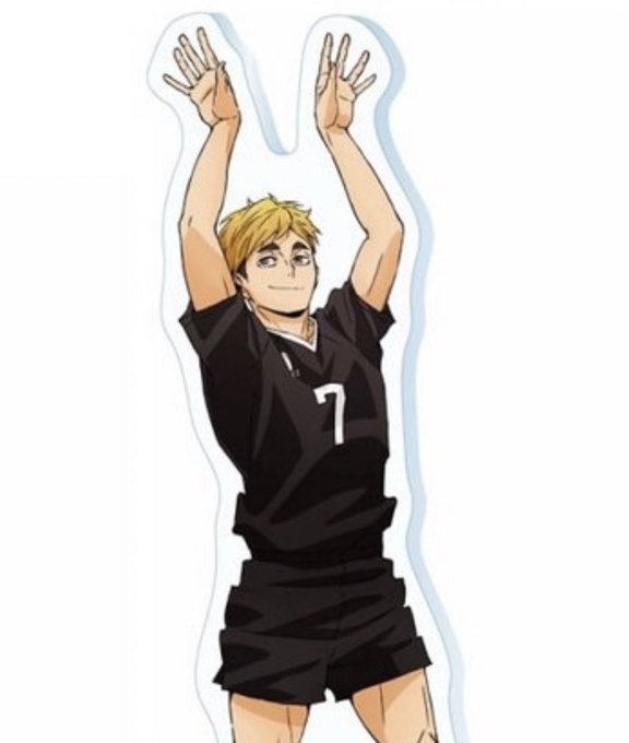 Volleyball Мия