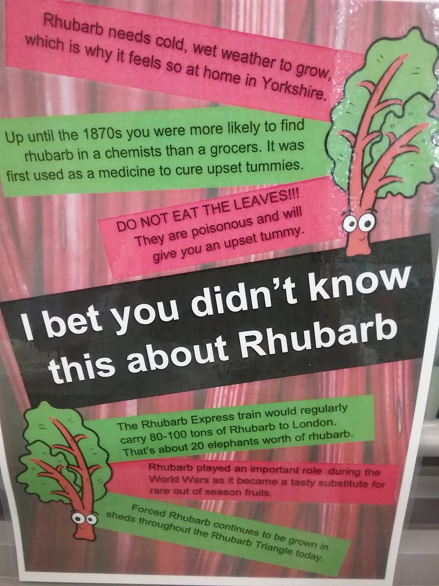 Rhubarb Festival (RhubarbFestival) / Twitter