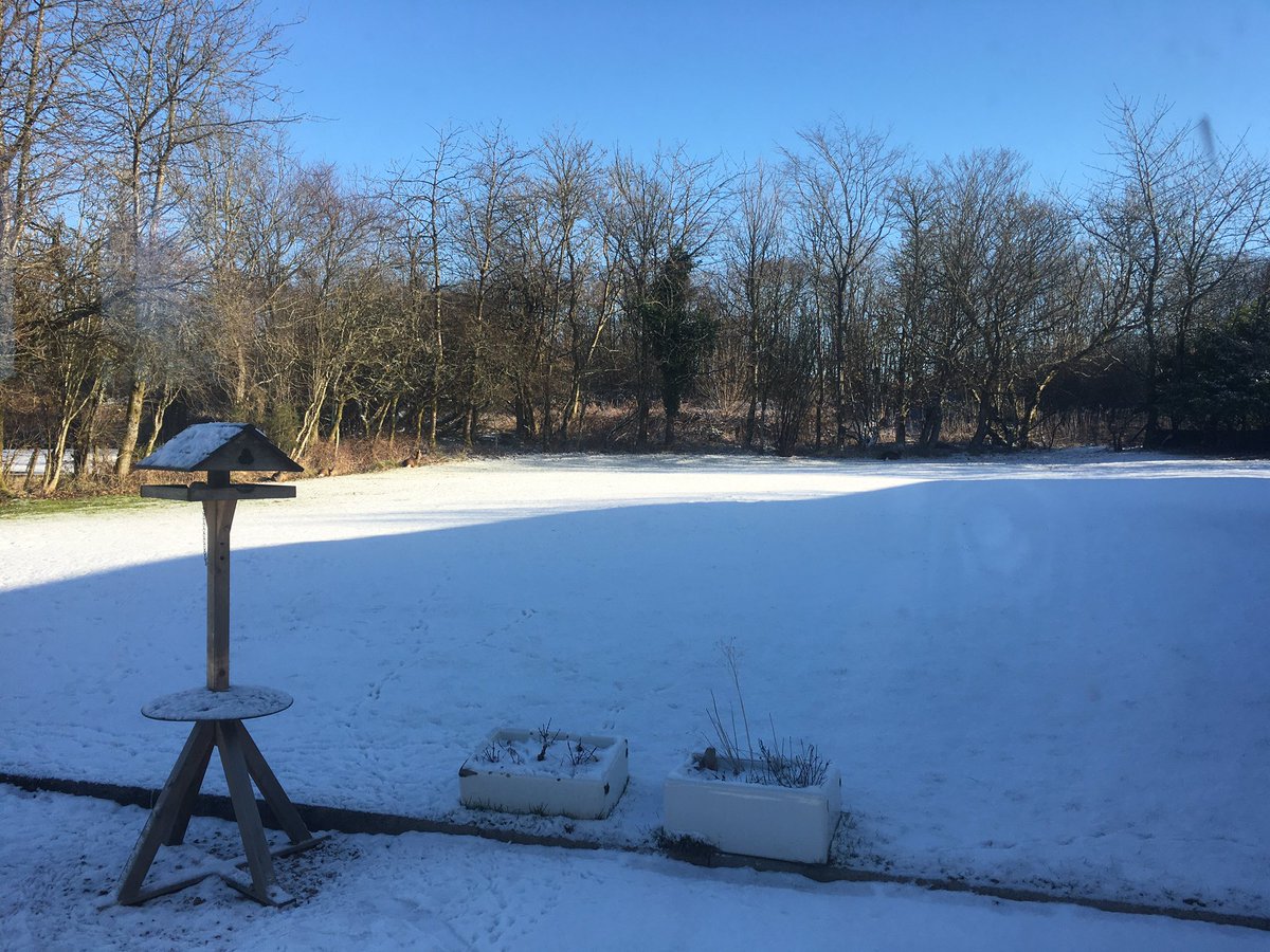 Anthea_Dickson's tweet photo. An empty scene you think.
How many deer are in this photo? #mastersofdisguise https://t.co/XkTKJL0qxe