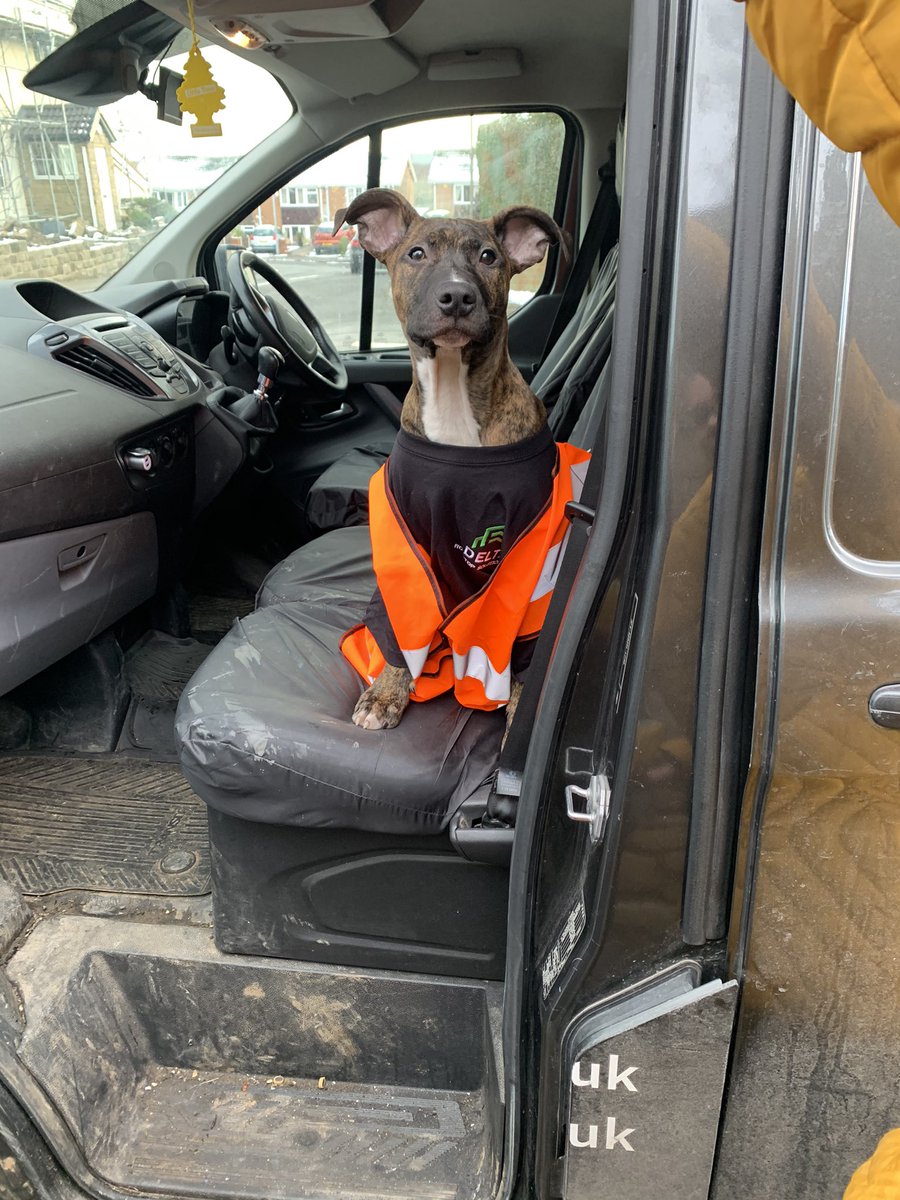 Keeping busy this Winter even Mr Woody has had to do some manual labour 👷🏽

All Aspects of Roofing undertaken including;
- Pitched Roofs
- Flat Roofs
- Roof Repairs and Maintenance and much more!

All work is Guaranteed and Completed by Qualified Roofers.

Contact us for a quote!
