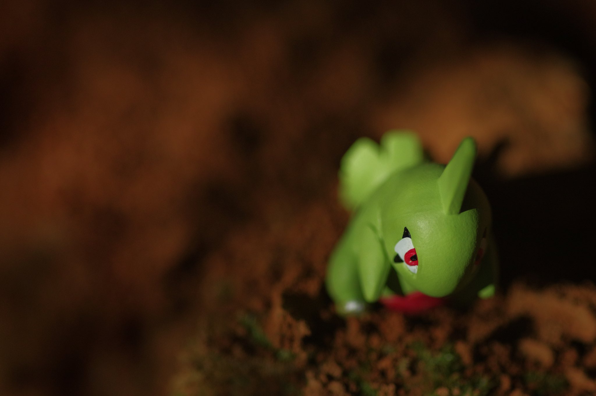 リアポケ No 246 ヨーギラス Larvitar Good Evening ポケモン写真 ポケモン野外撮影 Toyphotography Pokemon Realpokefinder Realpokemonsnap リアルポケファインダー リアル ポケモンスナップ つなげてかわいいポケモンの階段 T Co