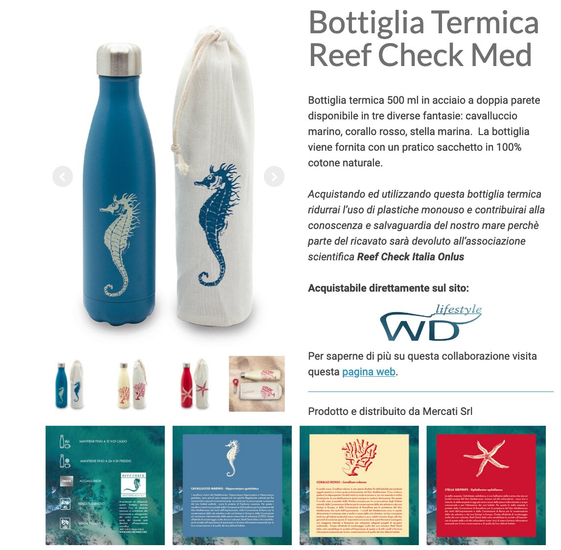 ReefCheckItalia's tweet photo. Ecco a voi il nostro EcoDiver Michele, tra i vincitori del concorso schede MAC 2020! Ha scelto la bottiglietta termica WD lifestyle con il cavalluccio marino #Hippocampus! Grazie Michele per il tuo contributo al monitoraggio del nostro mare con #ReefCheckItalia! https://t.co/9acF0AjZds