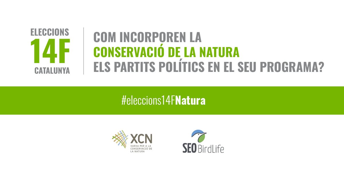 XCNatura's tweet photo. #eleccions14FNatura 

🗳️Des de la XCN i @SEO_BirdLife hem dut a terme un anàlisi en clau ambiental dels programes electorals per a les eleccions del 14-F

🙋‍♀️Voleu saber quins partits proposen mesures eficaces en cada àmbit? 

▶️https://t.co/igNlzGFODU

Obrim fil 👇 https://t.co/VqGEwEQskV