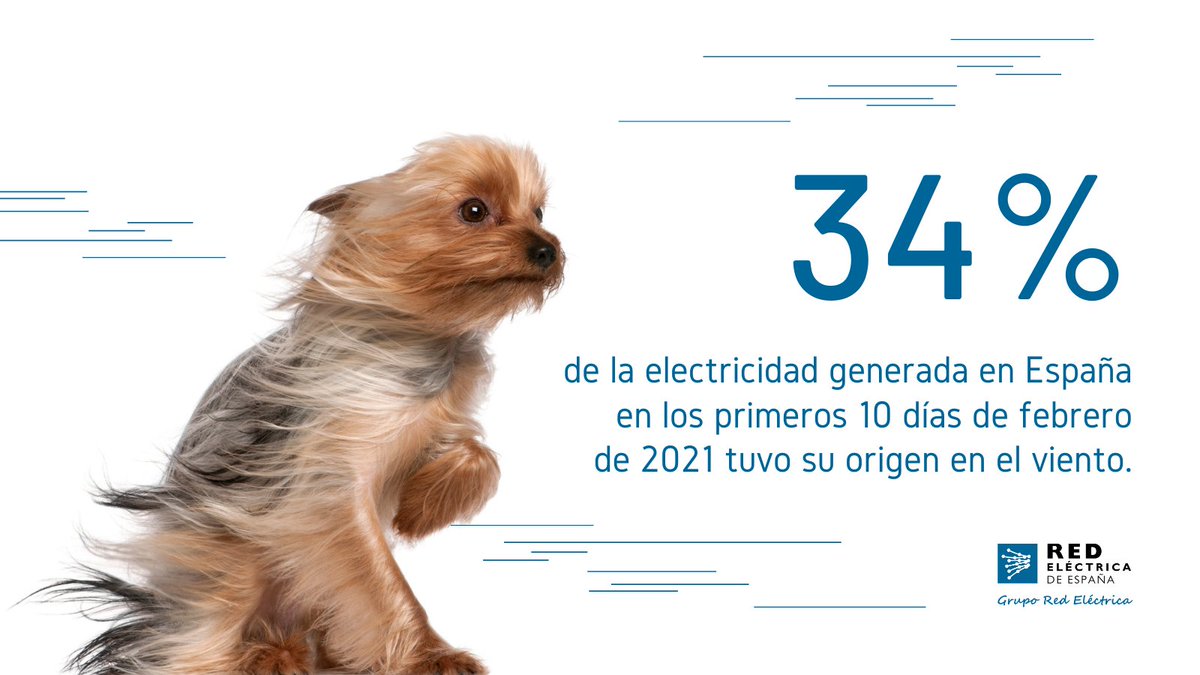 📌Según datos estimados, el viento 🌬️ produce el 34% de la electricidad española de los 🔟 primeros días de febrero y sitúa a la #eólica como tecnología 🔝 del mix.

Durante estos días, casi el 60% de la electricidad es #renovable🌱

¿Los datos?👉#REData 🖱️bit.ly/2Na9tXY