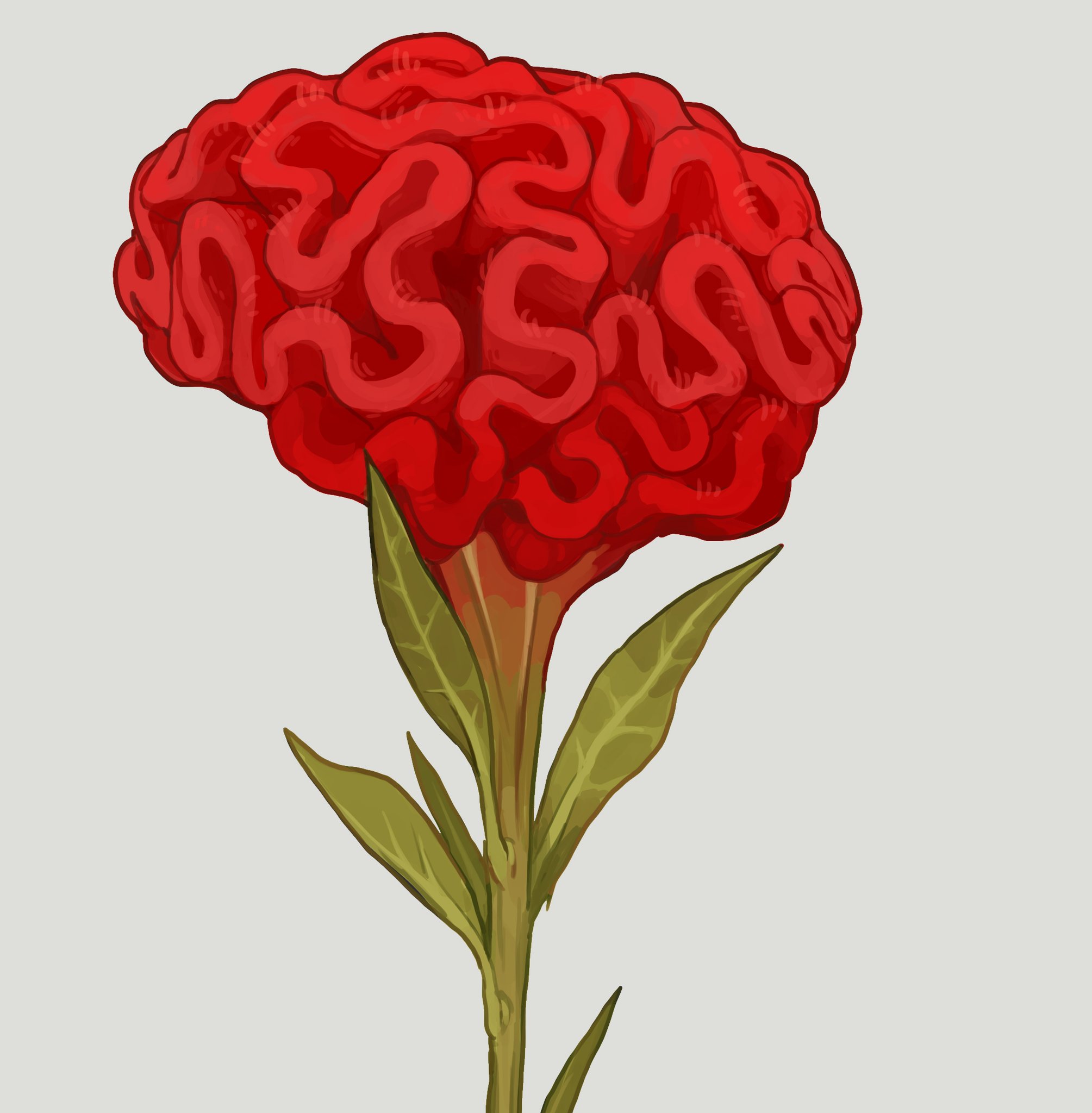 紀 かなめ 鶏頭のお花のことずっとふわふわの脳みそみたいで可愛いと思っている