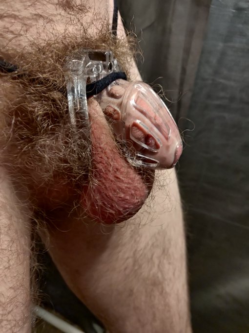 My second attempt @ chastity: IN PROGRESS Currently only 24 hours locked. I'm determined to stay locked<a href="/tag/challenge"class="tags"><span>#challenge</span></a><a href="/tag/ass"class="tags"><span>#ass</span></a><a href="/tag/balls"class="tags"><span>#balls</span></a><a href="/tag/cock"class="tags"><span>#cock</span></a><a href="/tag/penis"class="tags"><span>#penis</span></a><a href="/tag/anal"class="tags"><span>#anal</span></a><a href="/tag/caged"class="tags"><span>#caged</span></a>