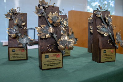 🔔<a href="/DIPUSEVI/">Diputación de Sevilla</a> convoca sexta edición del 🥇premio anual 🍷#Vinos y #Licores de la #ProvinciaDeSevilla. Plazo inscripción y entrega de muestras👉hasta 5 marzo'21. 
Toda la información sobre bases del concurso: ➡️bit.ly/3q45zhy. <a href="/SaboresSevilla/">Sabores de la Provincia de Sevilla</a>, #Concurso, #Vinos #Licores