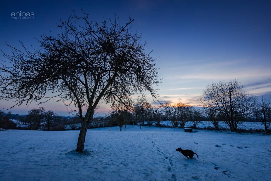 Did you have some snow last night? Here in Montbray there was less than expected but even before sunrise it was a beautiful sight 😍 Even our dog went mad running around in it. As she's a rescue dog we're not sure if she's even seen that much snow before,

More pictures soon...
