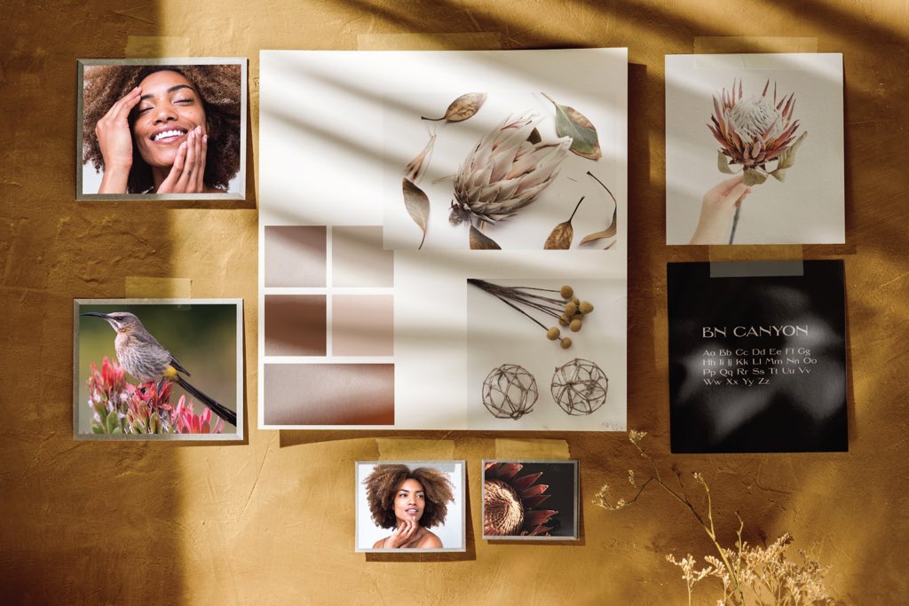 5. Go deep sea diving! Extensive research is a crucial ingredient to successful design outcomes. Design research methods are also bountiful - ensure you have a visual collation of your client’s interests that they sign off on before diving into ideation.