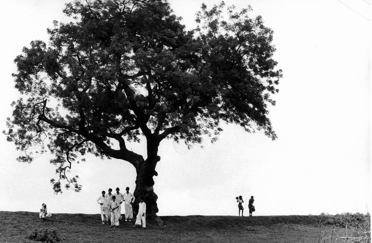 Radio3tweet's tweet photo. Un viaggio in India insieme a Benjamin Britten: fra scuole di danza, anziani suonatori e le note di Ravi Shankar. #Wikimusic qui https://t.co/k348ji84Eq https://t.co/Ui7B3Gwb4A