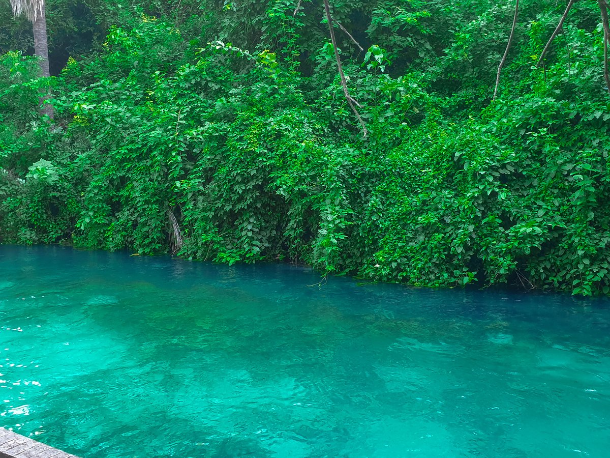 Yankari Game Reserve tweet media