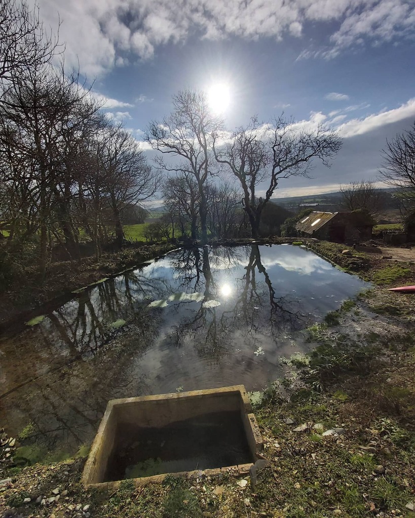 EscapeToPembs's tweet photo. I love these old Ash trees, this old mill pond, that ancient sun. Beautiful working outside for a change
#treesclosetome #treesofinstagram #treephotography #trees #treeoflife #escapetopembrokeshire #escapetothecountry #treelovers #instatree #beautifuld⦠https://t.co/X0OCDVvR2e https://t.co/1slDDZGNM4
