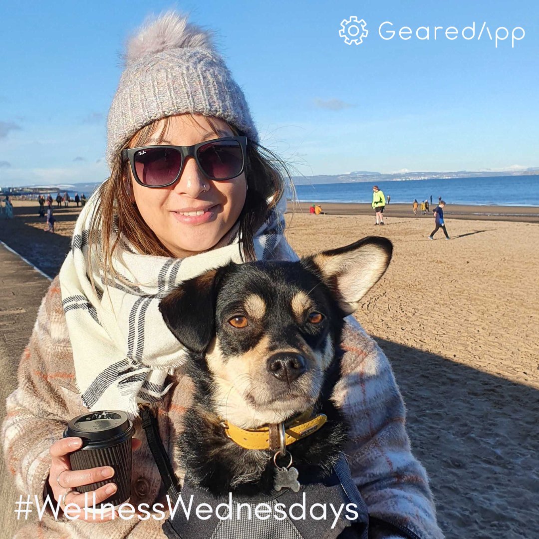 GearedApp tweet media