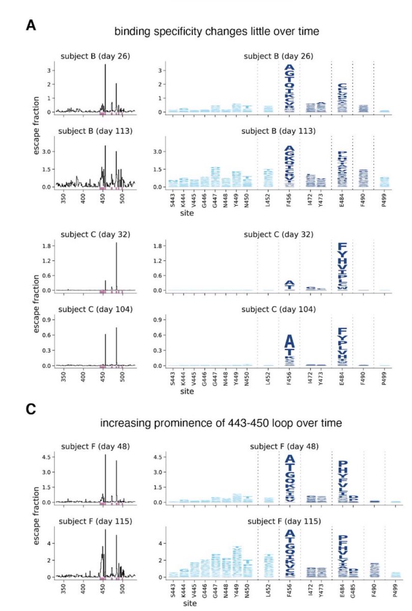 17) Moreover, they also noticed that over time, the L452 mutation’s antibody escape potential increased over time in one subject F (see panel C bottom). Again, not the worst, but we need to test this again vaccinated people’s blood to know for sure.  https://www.biorxiv.org/content/biorxiv/early/2021/01/04/2020.12.31.425021.full.pdf