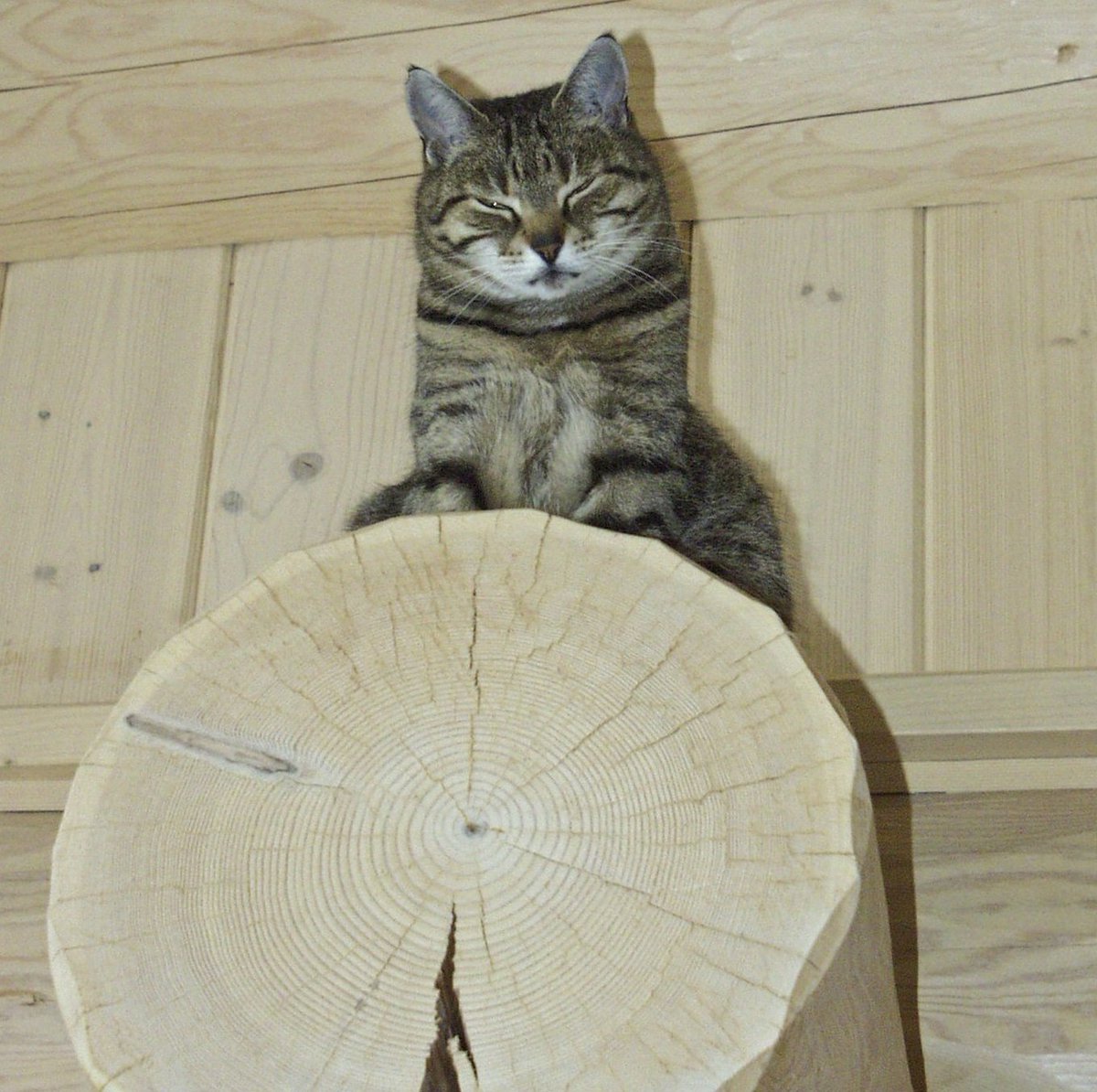 LBS_LibraryTeam's tweet image. The Library catalogue will not be available on Monday 15th February 09:00hrs until the end of the day and  may be at risk until 12:00hrs the next day. To find books use SUMMON Just search and then limit to show “Library Catalogue” using the filters.  #lbslibrary #businessbooks