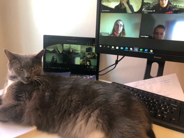 Northlincmuseum's tweet photo. He finds them a bit boring though so likes to lay down π΄ Does anyone else have helpers?
#ImNotACat #MuseumCat #MuseumPets #Museum https://t.co/FHgYRdVEwQ