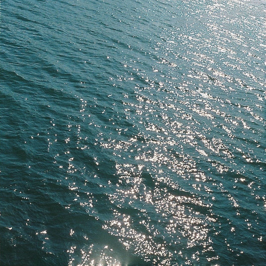 Grosses_Wasser's tweet image. ゆらめく日差し
#photography #RobotStar #Xenar38mm  #SUPERIAXTRA400 #フィルム写真 #ましかく写真