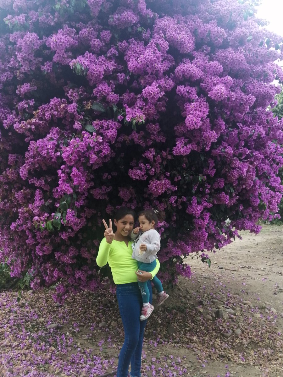 BahamondesJc's tweet photo. https://t.co/eWbCYot3ng