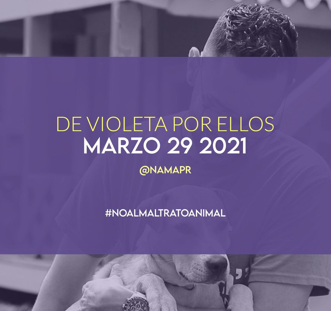 namapr's tweet photo. el tema y brinda tu apoyo a organizaciones y rescatistas dedicados al bienestar animal. 
Puedes compartir tu foto utilizando el hashtag #devioletaporellos 💜 https://t.co/qPQidEsR0a