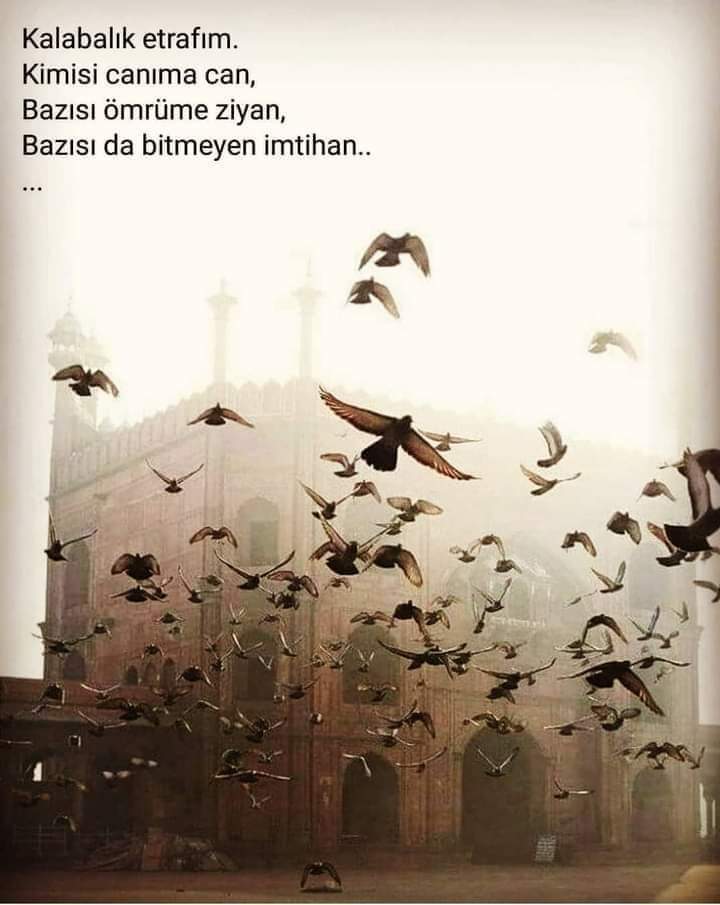 Alanya_Ersag's tweet photo. #Ömür,
#Diline değilde #gözlerindeki derdi görene #emanet edilir.#İyiyim' dediğin halde iyi #olmadığını görene emanet edilir.
'#Yanlız değilim' dediğin halde bağrına #basana emanet edilir... Ömür seni kendi #çıkarları için değilde #seni sen #olduğun için #sevene emanet edilir. https://t.co/IHXgyTkqfu