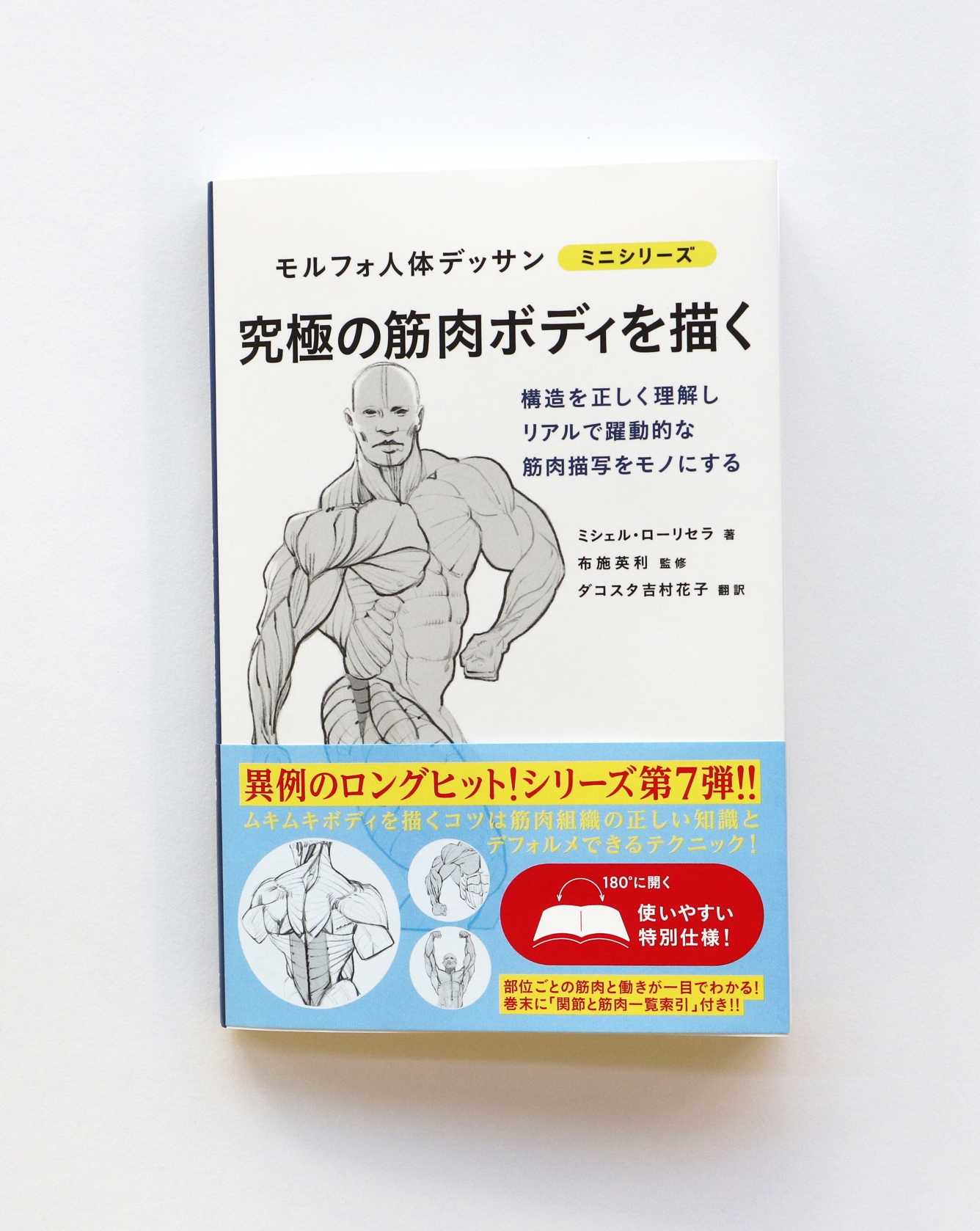 関節と筋肉の働き (モルフォ人体デッサンミニシリーズ ) | 検索