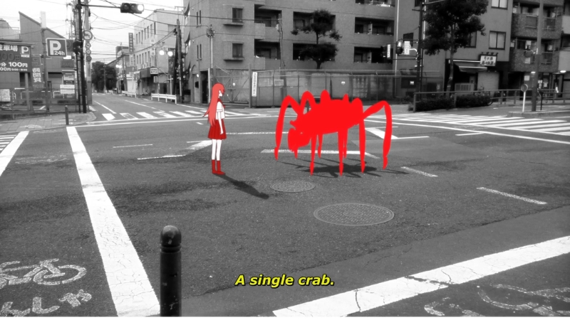 Hitagi's Oddity being a  also hold symbolism of its own.Hitagi’s birthday is on July 7th, making her sign Cancer which is basically a Crab. The traits of Cancer:Moodiness, insecurity, suspicion, Loyalty and emotionality.