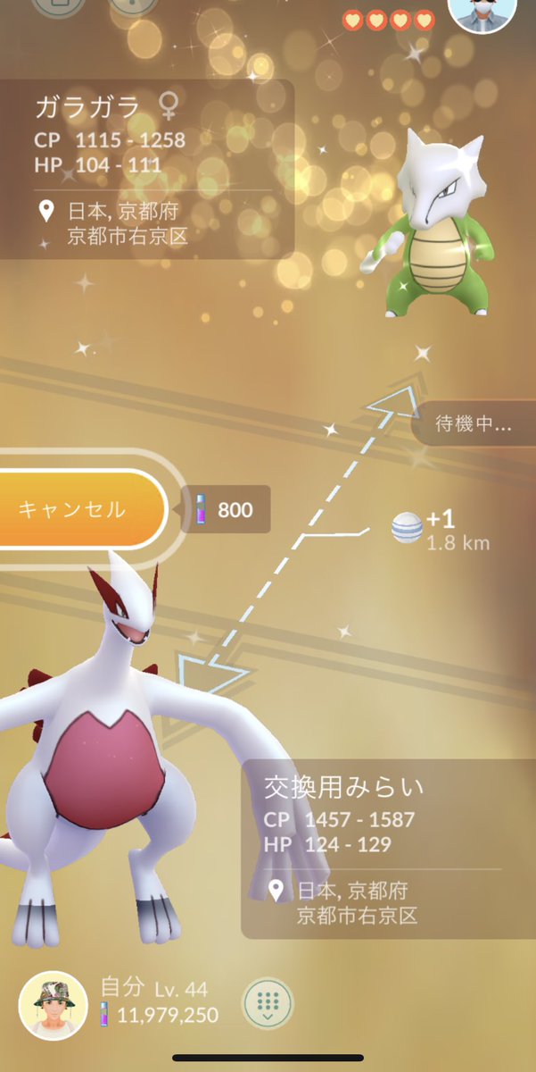 ポケモンgo ガラガラ アローラ の色違い 入手方法と実装状況 攻略大百科