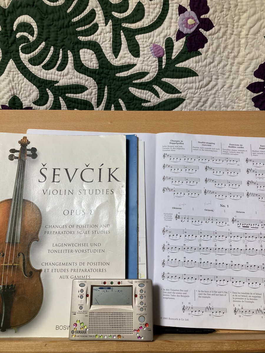 バイオリンの練習