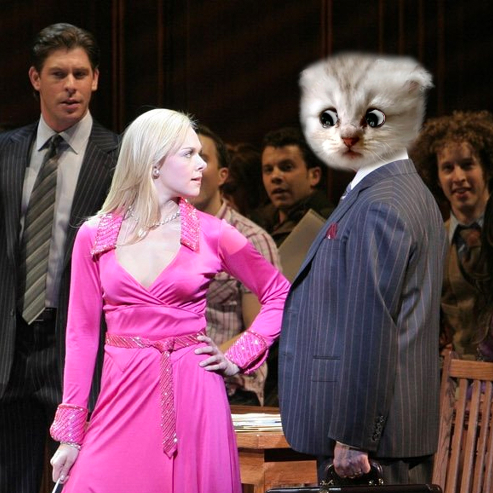 "I'm here live, I'm not a " Which stagey cat-lawyer would you want representing you? @HamiltonMusical  @LBtheMusical  @mockingbirdbway  @ChicagoMusical  @witnessplayLDN
