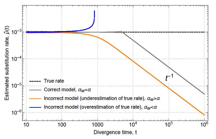 Because you're essentially reaching the maximum level of differences between the pair, any attempt to estimate substitution rate would be strongly correlated with the timespan of observation (i.e. a power-law rate decay with slope -1 will emerge) 6/