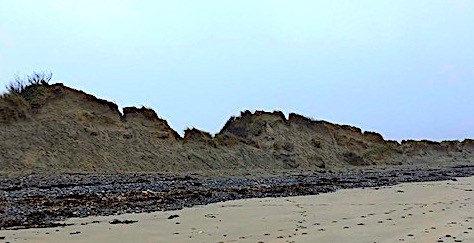 Kevin Lynch tweet media