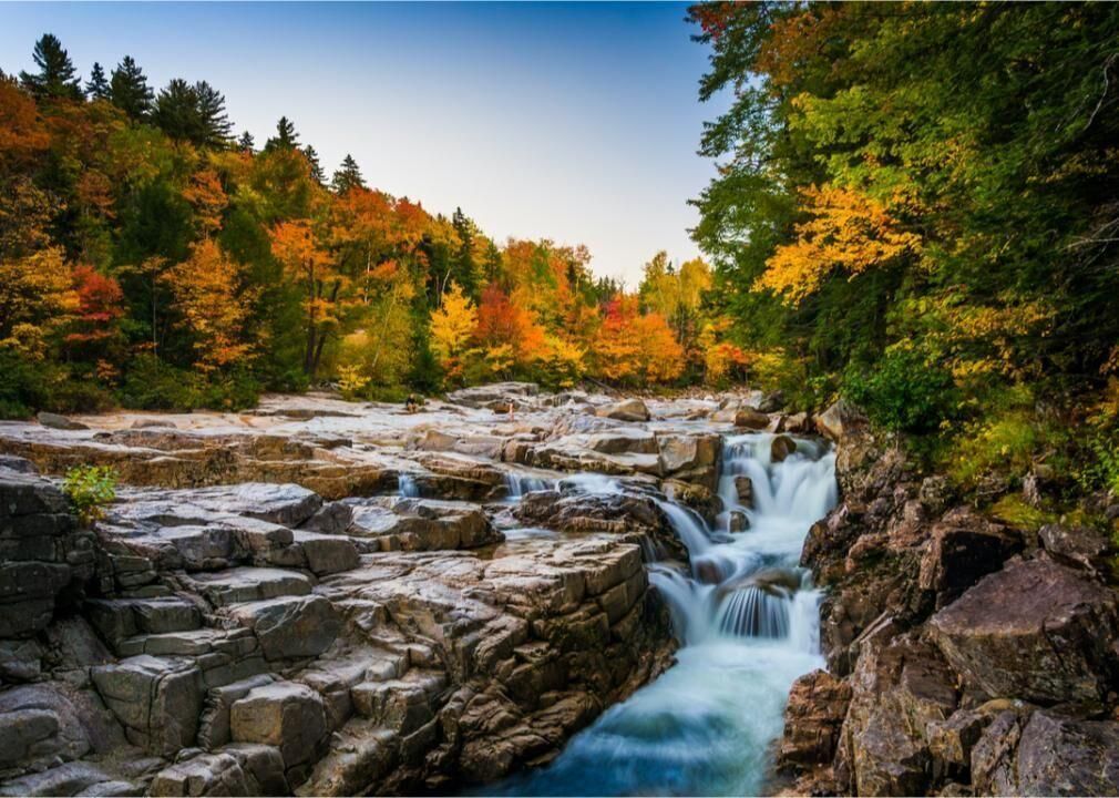 Association on American Indian Affairs tweet media