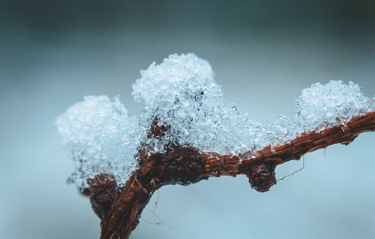 In love with winter!