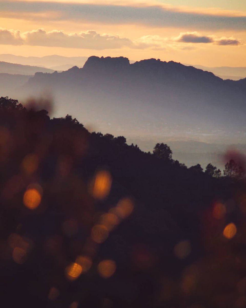 Fin de journée dorée sur le rocher de Roquebrune ✨.
📍 La destination : bit.ly/lerocherroqueb…
Photo @3m_travel

#roquebrunesurargens #sunsearoc #esterel #visitesterel #visitvar